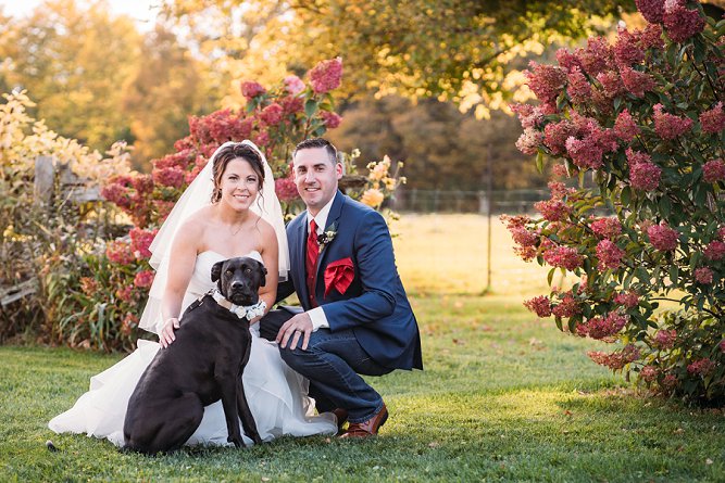 maple meadows farm wedding with animals